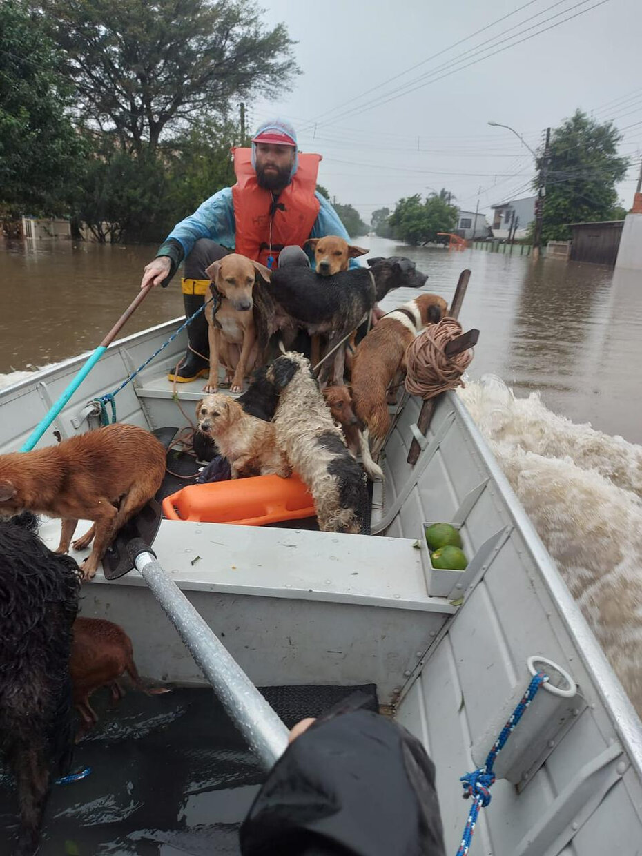 Natan Soares resgatou os pets num barco circulando pelo bairro Mathias Velho, em Canoas (Foto: Paulo Gasparotto/especial)