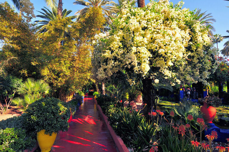 Outro dos recantos do Jardim Majorelle (Foto: Divulgação)