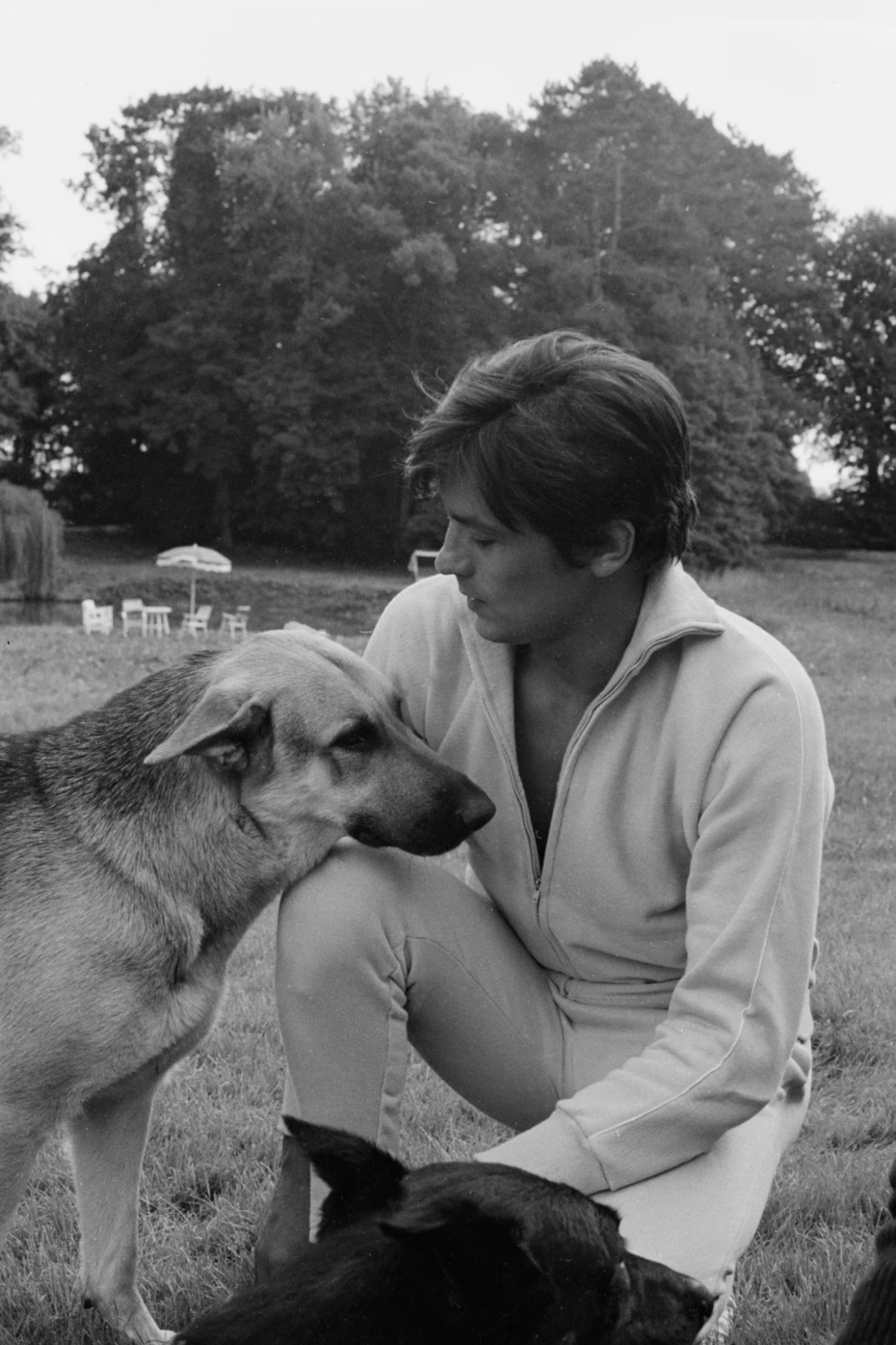 Alain Delon, durante uma entrevista para a TV Francesa declarou sua paixão pelos lobos selvagens e os cães (Foto: /Divulgação)