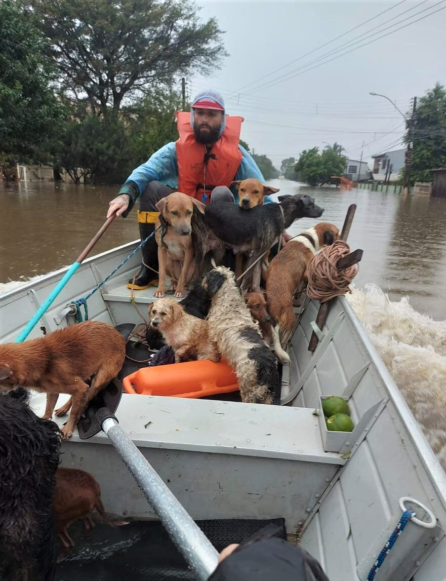 Natan Soares fez um dedicado trabalho de resgate de animais durante os dias mais difíceis de maio no Humaitá, junto a Arena do Grêmio, e na Vila Mathias Velho, em Canoas  (Foto: Divulgação)